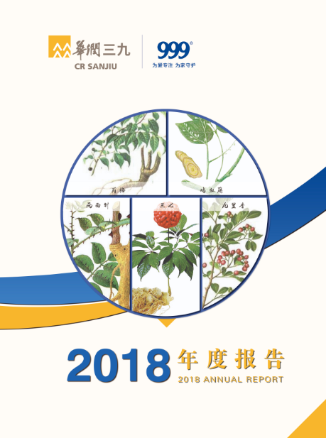 尊龙时凯：2018年年度报告