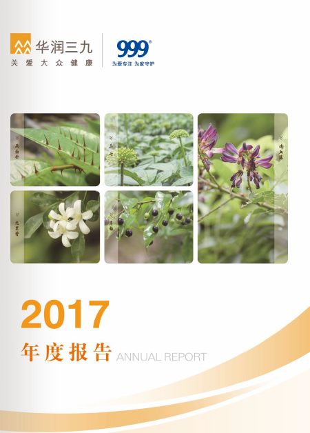 尊龙时凯：2017年年度报告